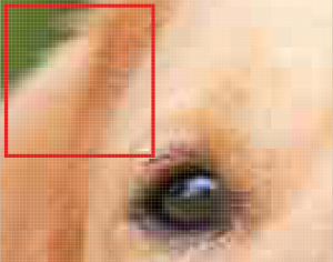 87549295-db45-4eb3-9085-c7bf02cd4367